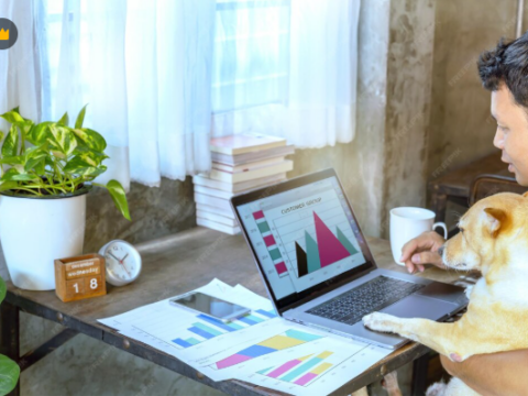 Create a Beginner-Friendly Investment Portfolio