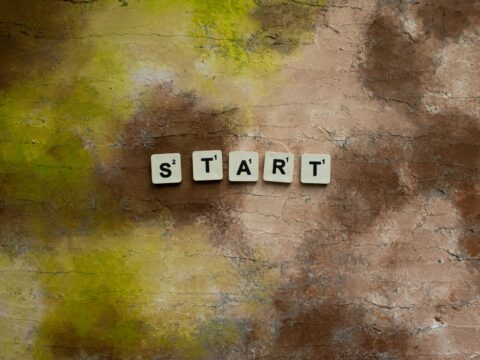 Start a Dividend Reinvestment Strategy